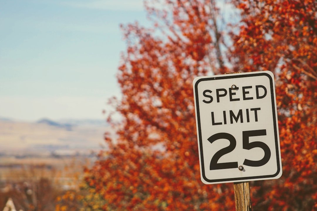 Photo speed optimization services