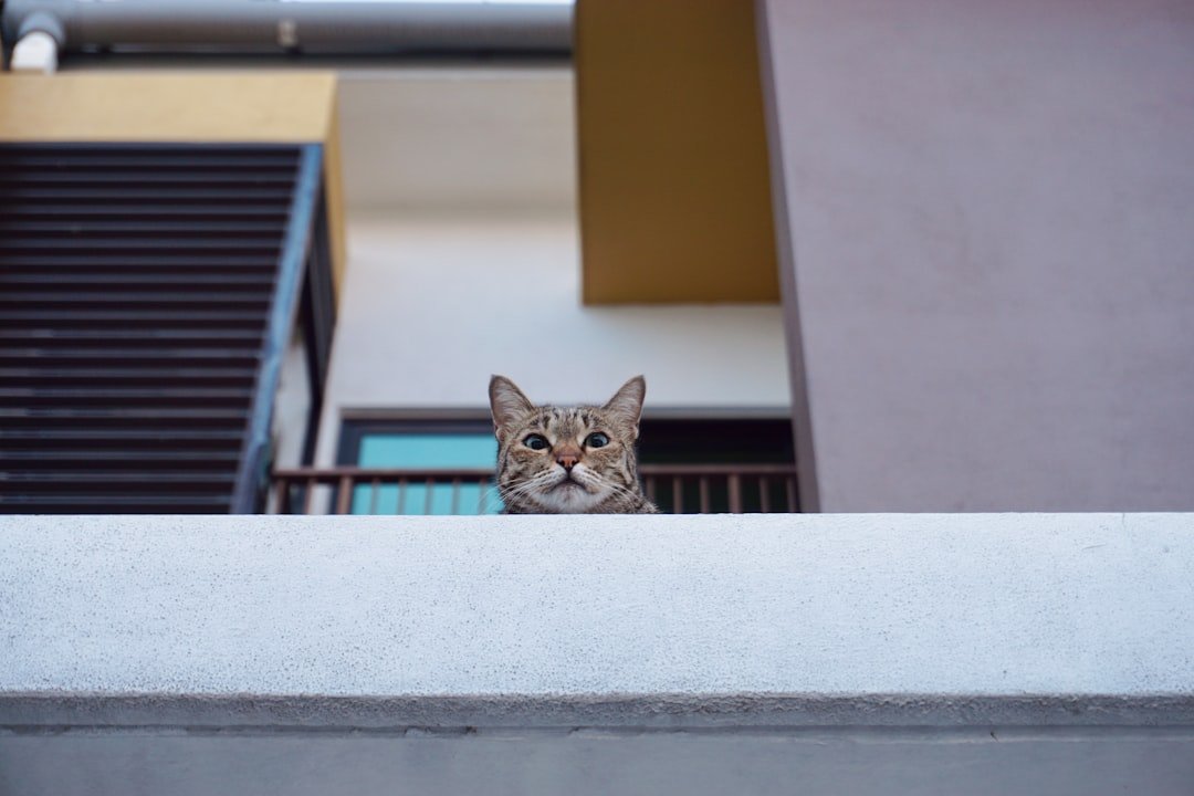 Photo AI Chat Bot